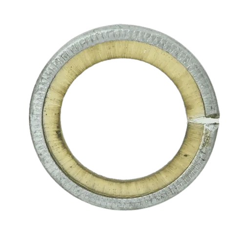 Brush Seal