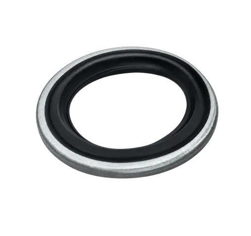 O-Ring - Valve Seat