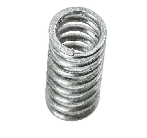 Valve Spring